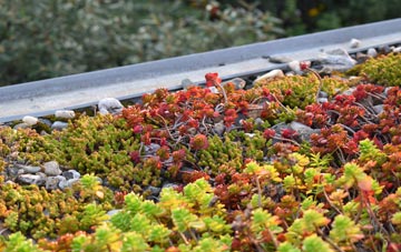 the cost of Rootpark green roof installation