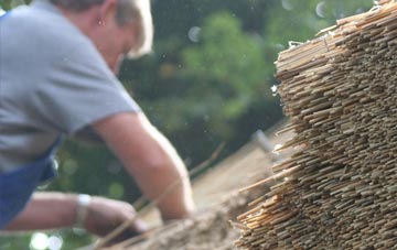 professional Rootpark thatchers